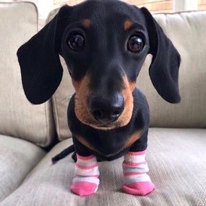 Meet your Posher, Sandra